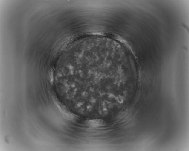 X0000099490069200806051108