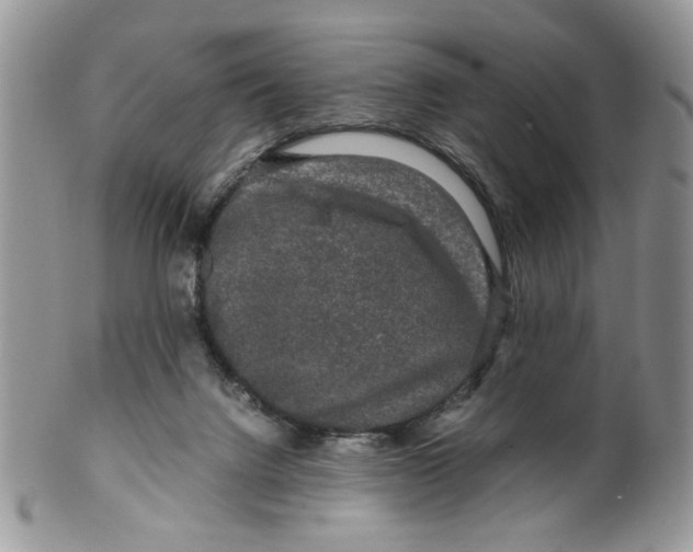 X0000099490072200806051108