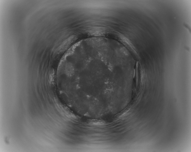 X0000099490073200806051108