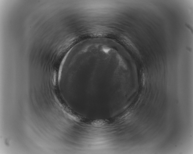 X0000099490076200806051108