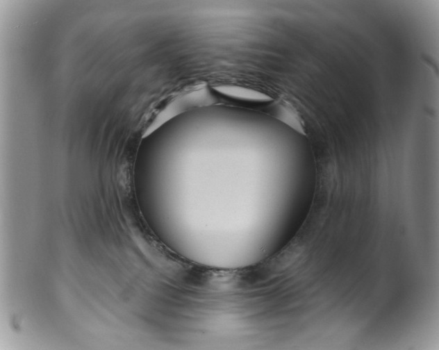 X0000099490088200806051109