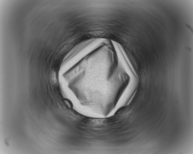 X0000099490089200806051109