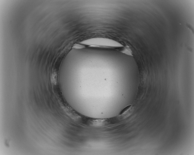 X0000099490090200806051109