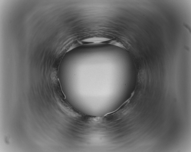 X0000099490092200806051109