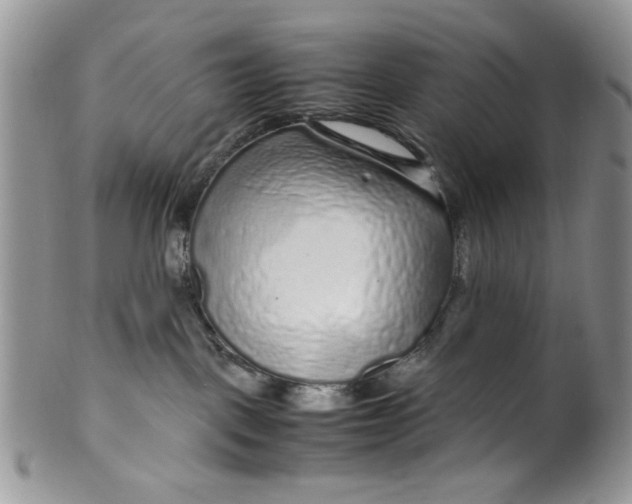 X0000099490093200806051109