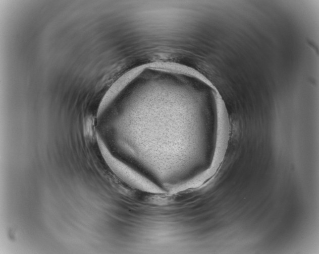 X0000099490094200806051109