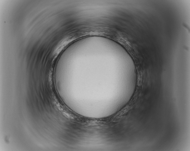 X0000099490098200806051108