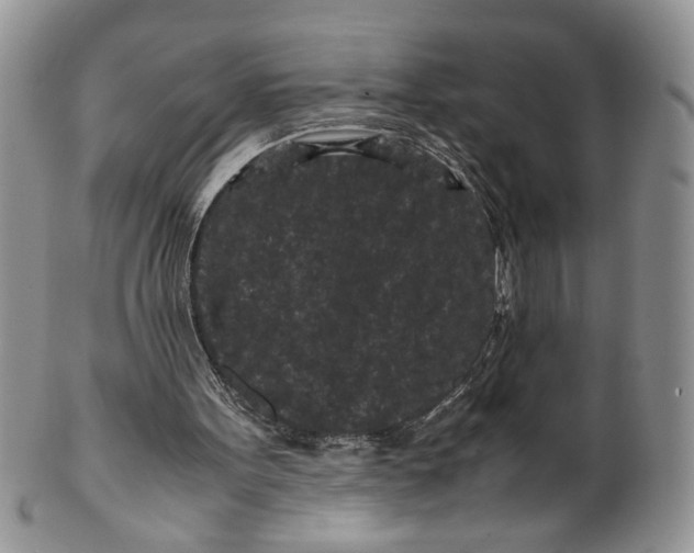 X0000099490099200806051108