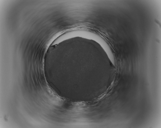 X0000099490100200806051108