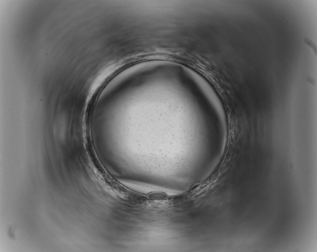 X0000099490102200806051108