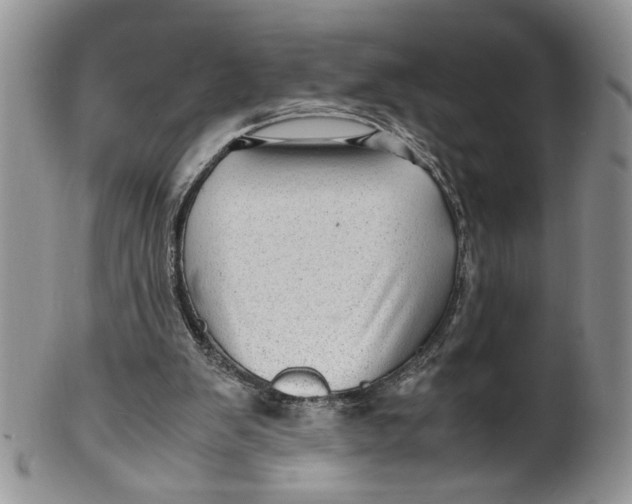 X0000099490103200806051108