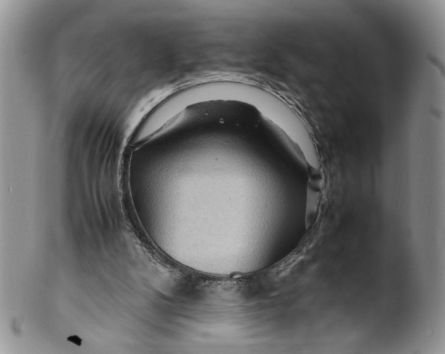 X0000099490104200806051108