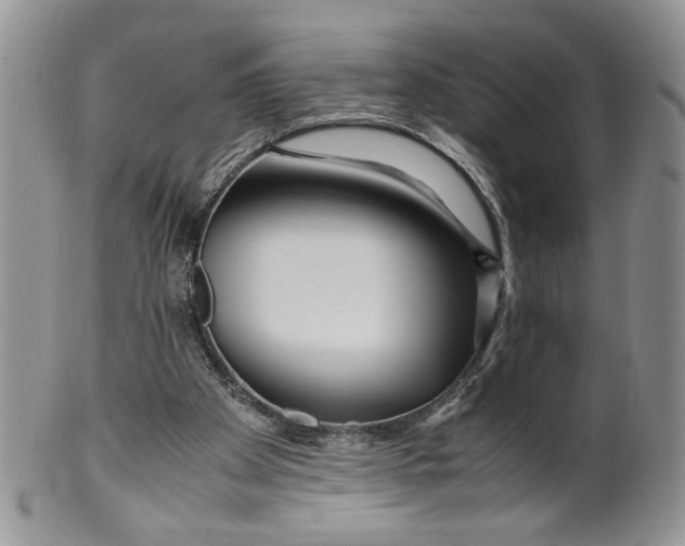 X0000099490105200806051108