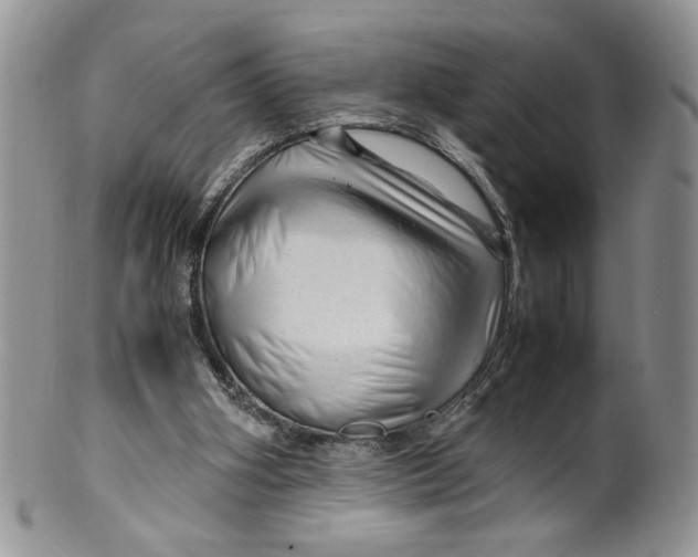 X0000099490106200806051108