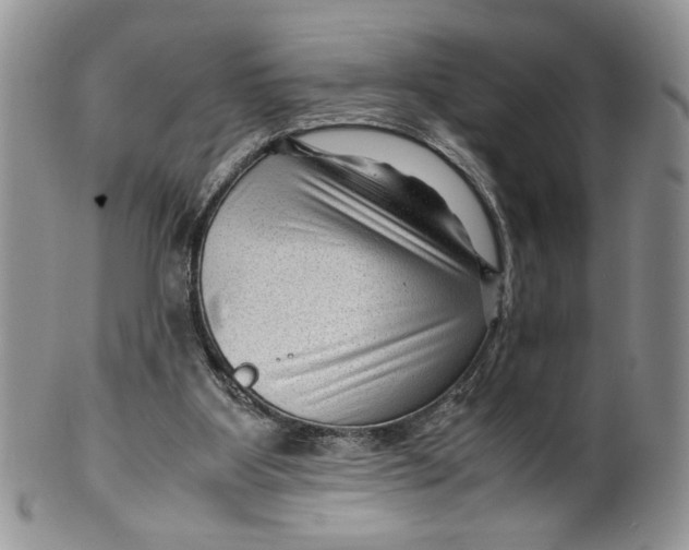 X0000099490107200806051108