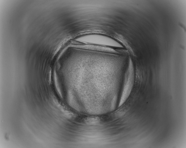 X0000099490110200806051108