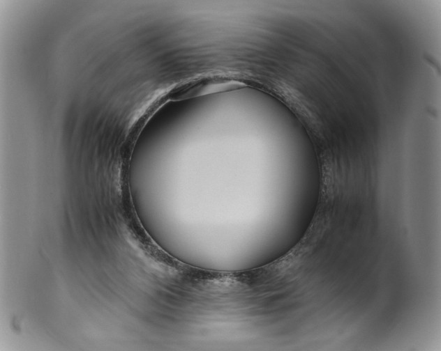 X0000099490112200806051108