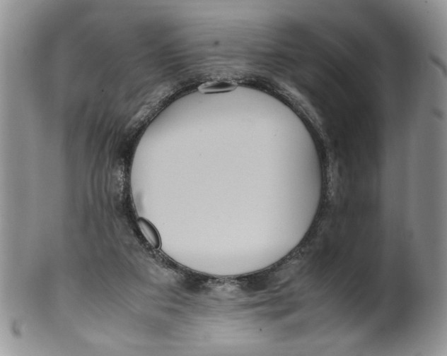 X0000099490113200806051108