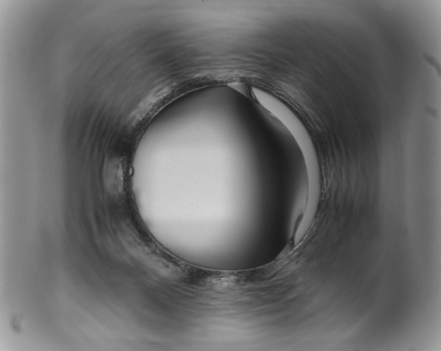 X0000099490120200806051108