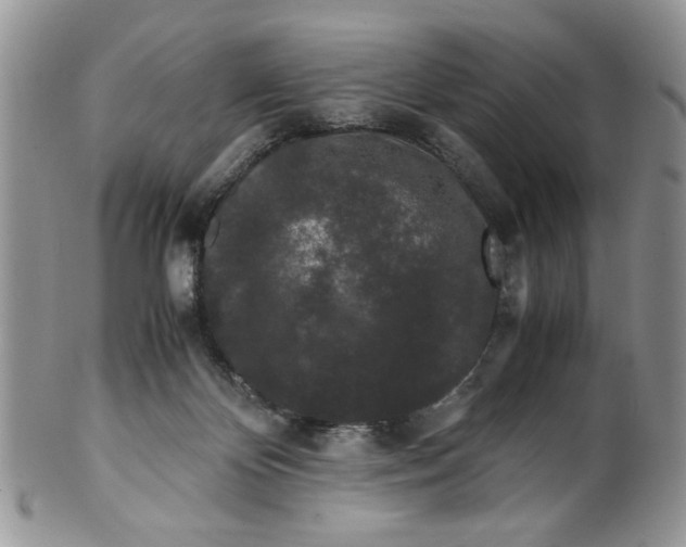 X0000099490124200806051108