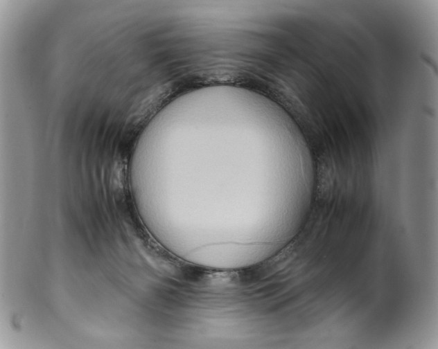 X0000099490126200806051108