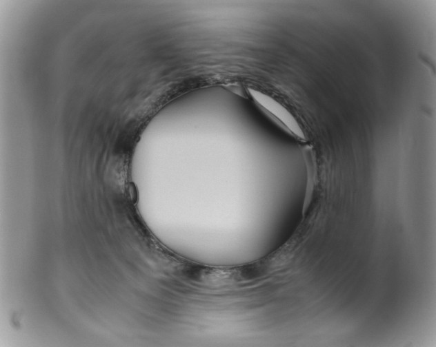 X0000099490129200806051108