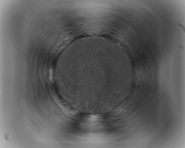 X0000099490130200806051108