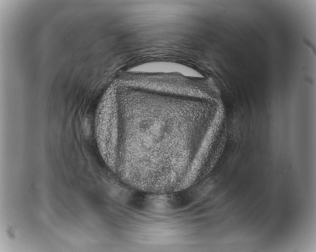 X0000099490131200806051108