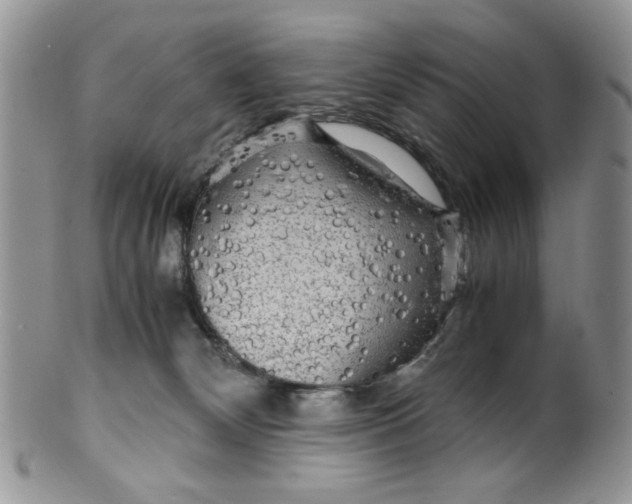 X0000099490132200806051108