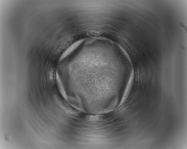 X0000099490134200806051108