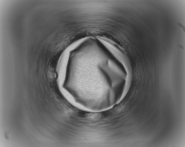 X0000099490135200806051107