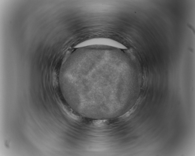 X0000099490136200806051107