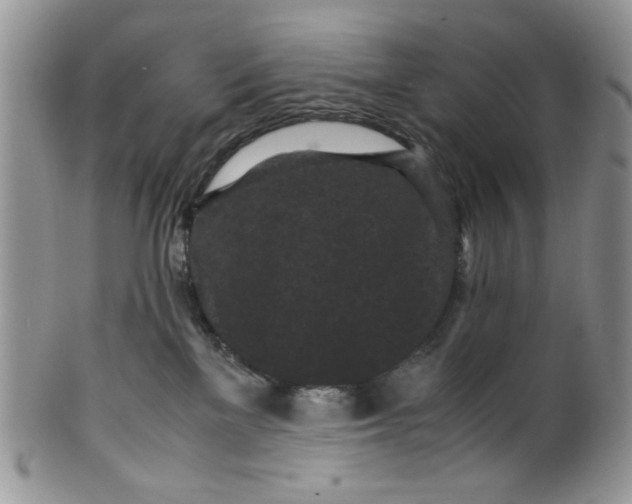 X0000099490137200806051107