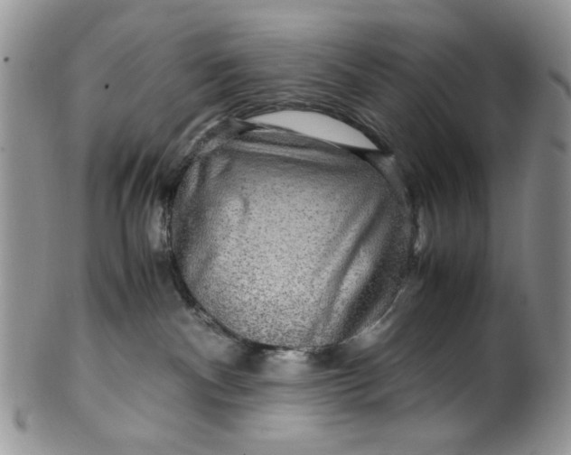 X0000099490140200806051107