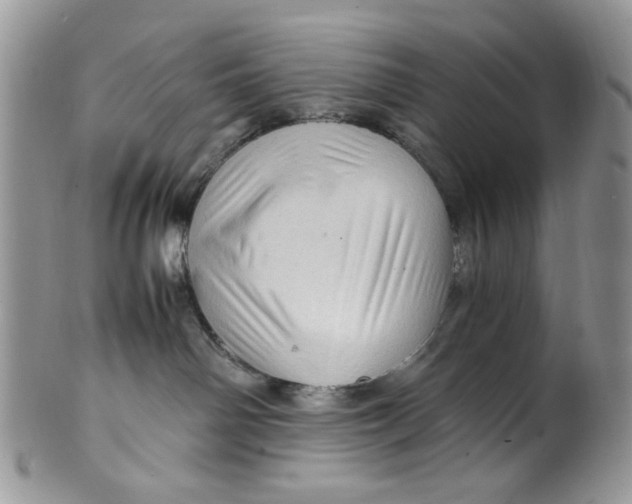 X0000099490142200806051107