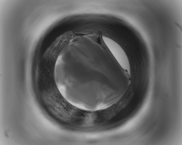 X0000099490143200806051107