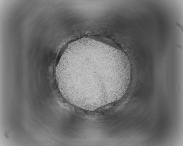 X0000099490144200806051107