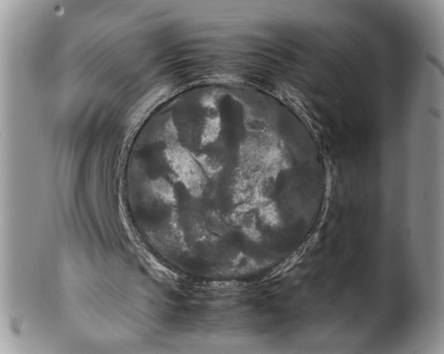 X0000099490145200806051107