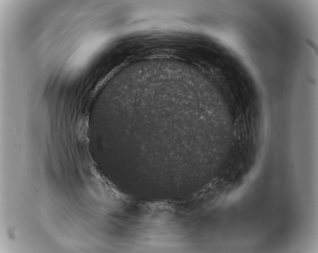 X0000099490146200806051107