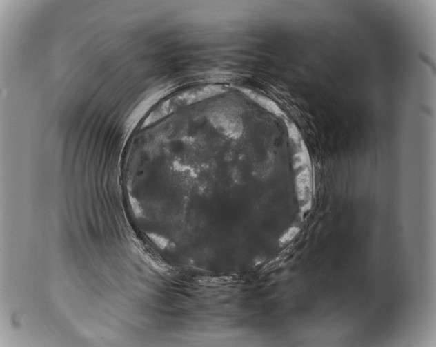 X0000099490147200806051107