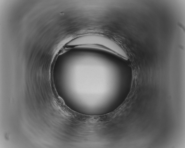 X0000099490148200806051107