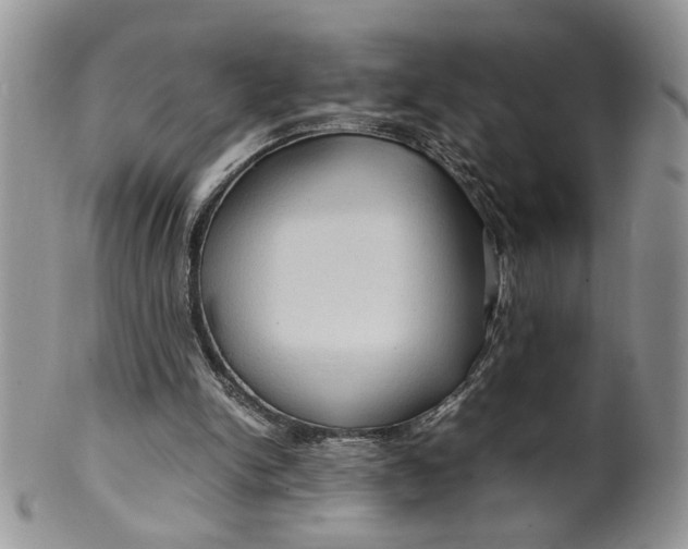 X0000099490150200806051107