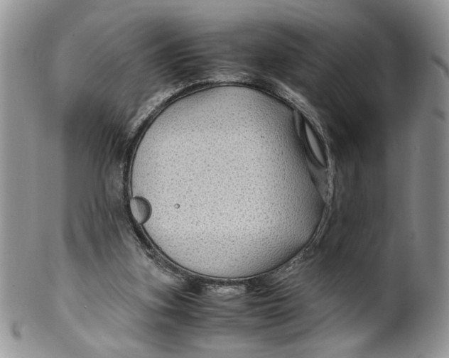 X0000099490155200806051107