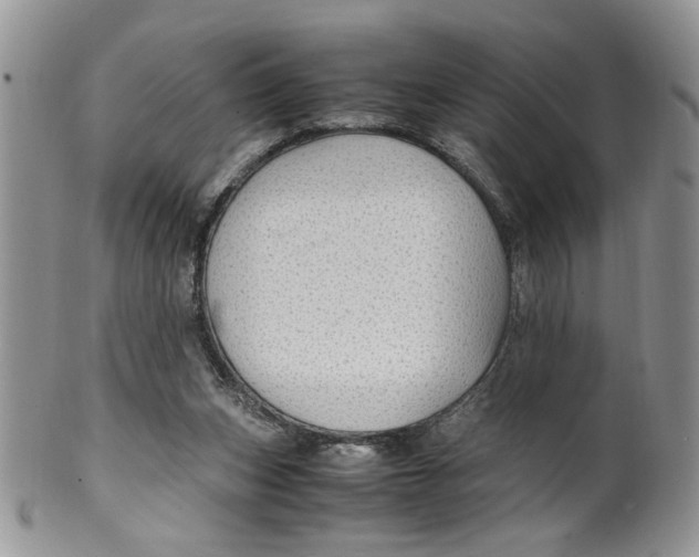 X0000099490159200806051107