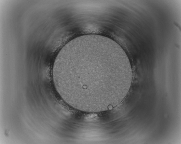 X0000099490162200806051107