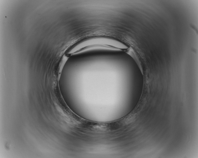 X0000099490164200806051107