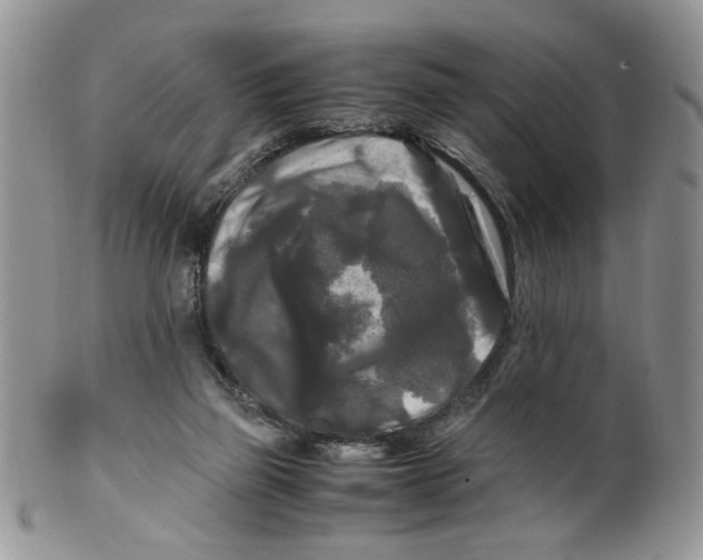 X0000099490165200806051107