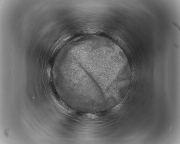 X0000099490166200806051107