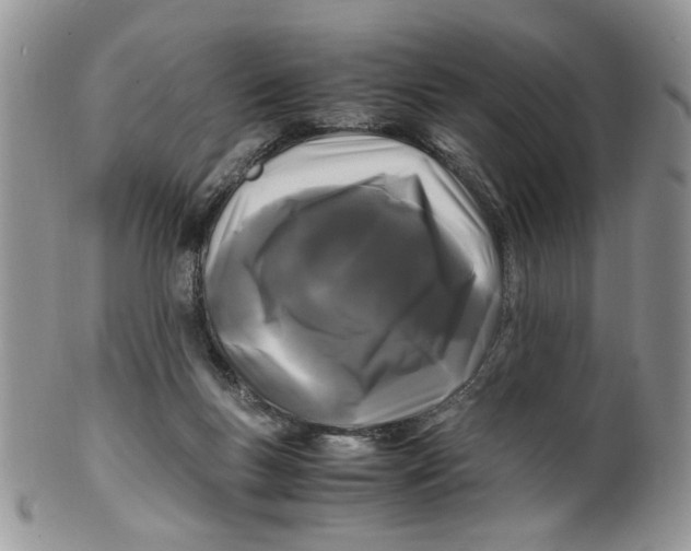 X0000099490167200806051107