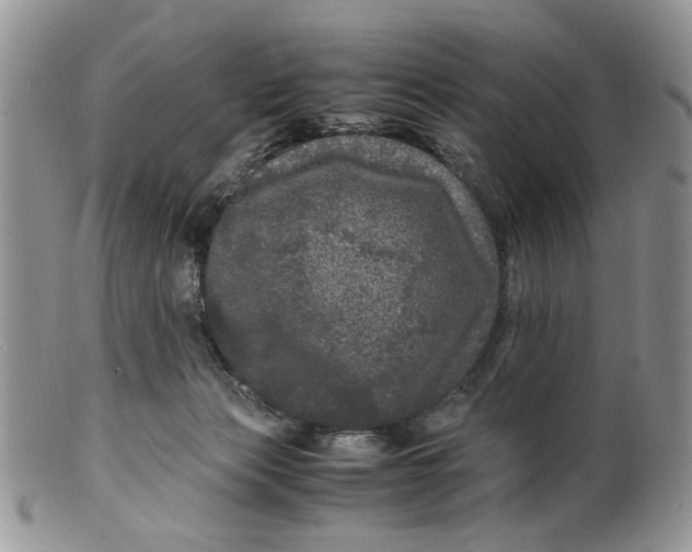 X0000099490173200806051107